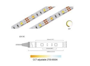 Dual White 40 LED/m | 5050 SMD 40LED/m 12V 4.8W/m 2700K
